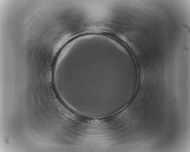 X0000102231459200808151717