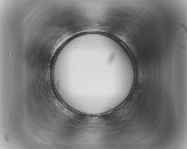 X0000102231460200808151717