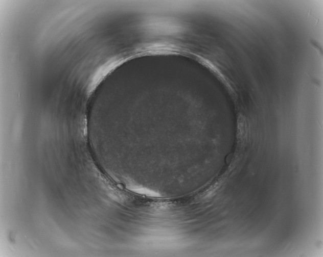 X0000102231461200808151717
