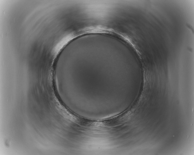 X0000102231463200808151717