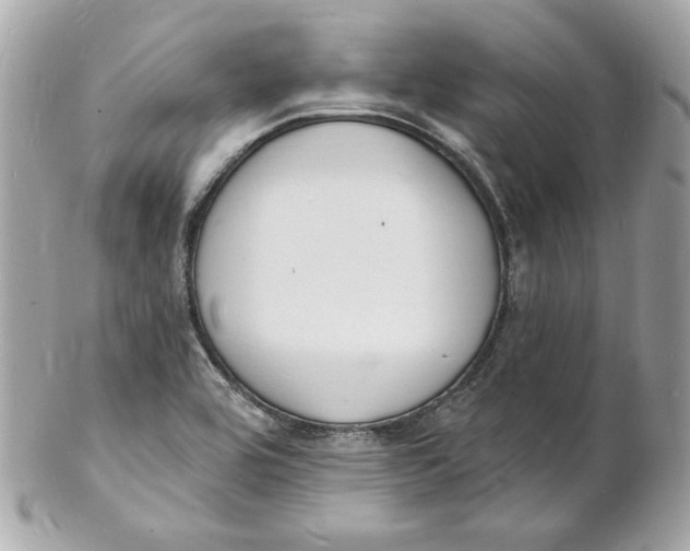 X0000102231464200808151717