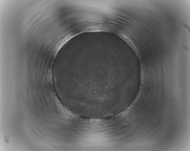 X0000102231465200808151717