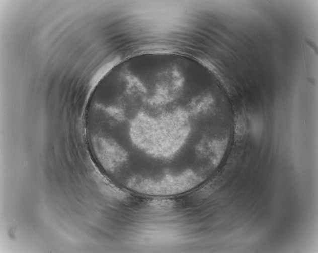 X0000102231466200808151717