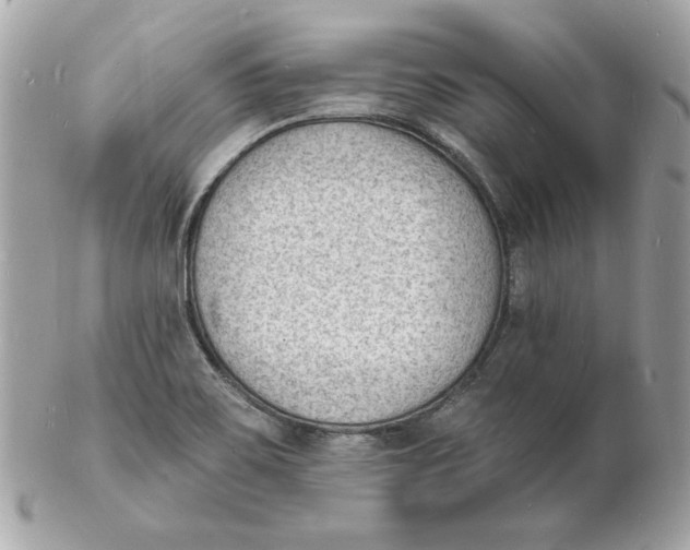 X0000102231467200808151717