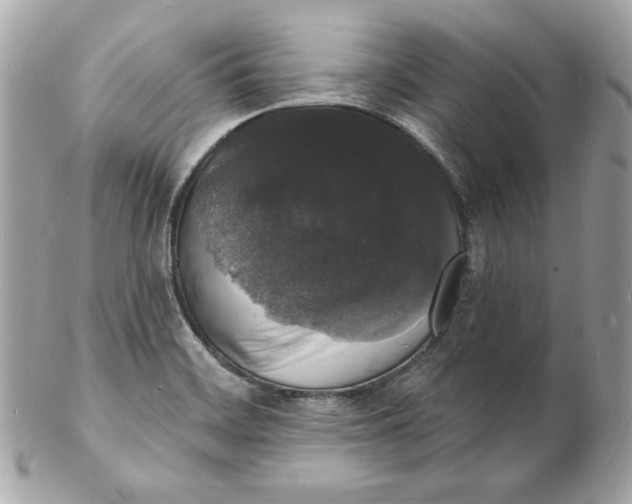 X0000102231468200808151717