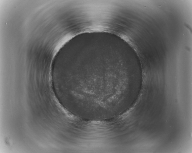 X0000102231469200808151717