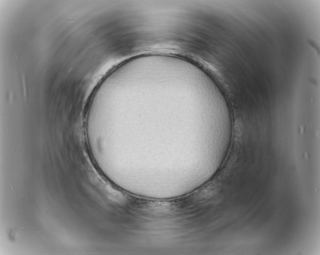 X0000102231470200808151717