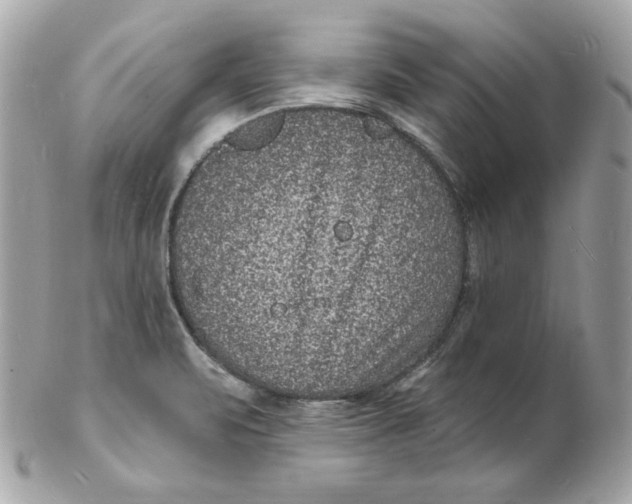 X0000102231471200808151717