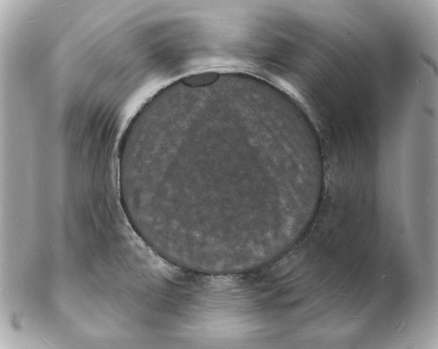 X0000102231472200808151717