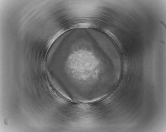 X0000102231473200808151717