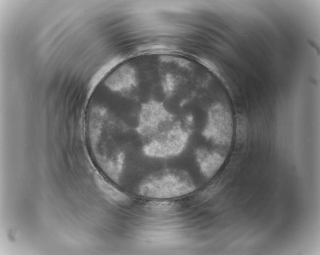 X0000102231474200808151717
