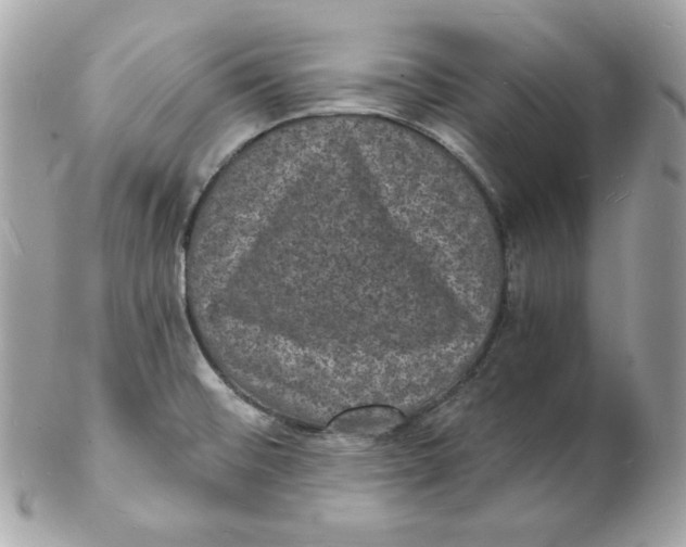 X0000102231476200808151717