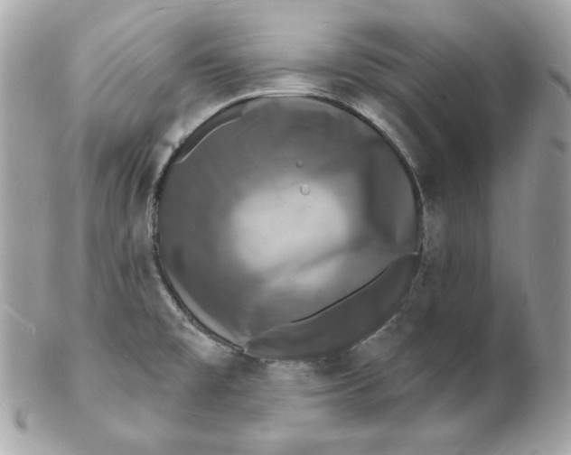 X0000102231477200808151717