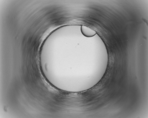 X0000102231478200808151717