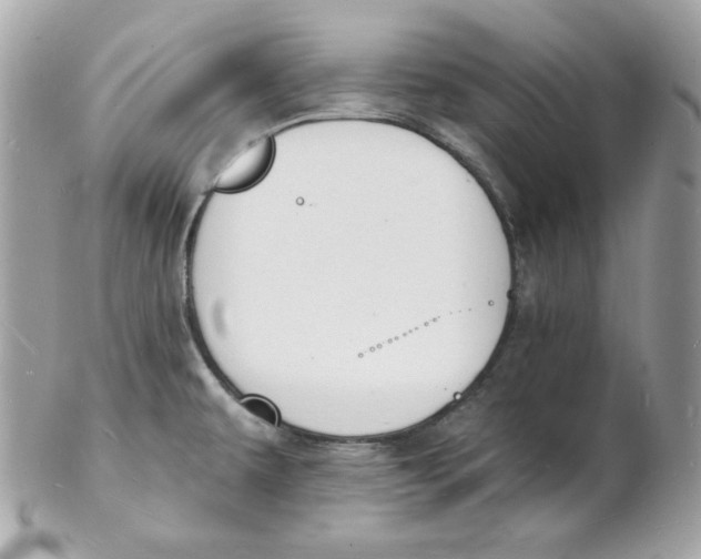 X0000102231479200808151717
