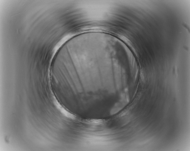 X0000102231482200808151717