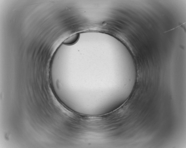 X0000102231483200808151717