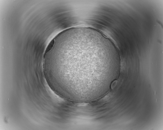 X0000102231484200808151717