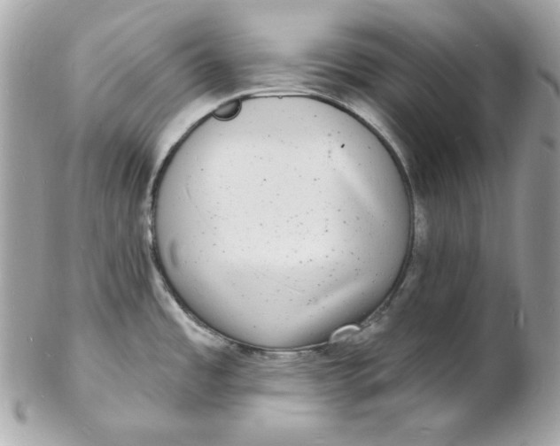 X0000102231485200808151717
