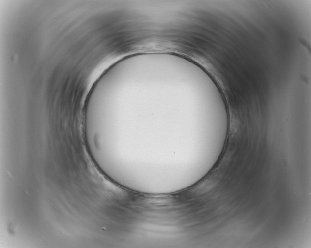 X0000102231486200808151717