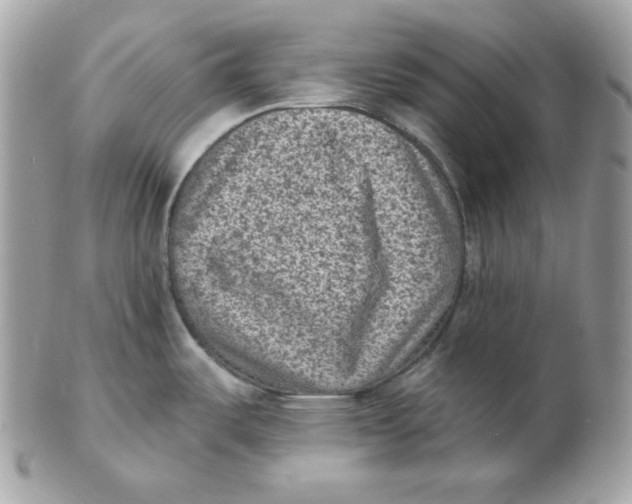 X0000102231487200808151717