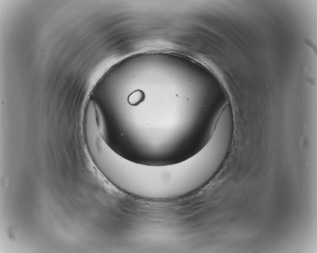 X0000102231488200808151717
