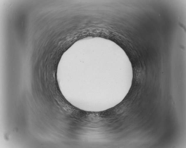 X0000102231489200808151716