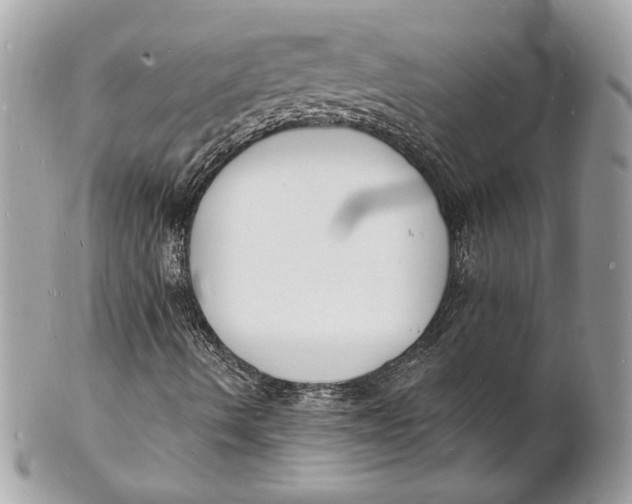 X0000102231490200808151716