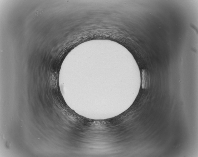 X0000102231491200808151716
