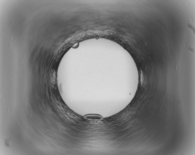 X0000102231492200808151716