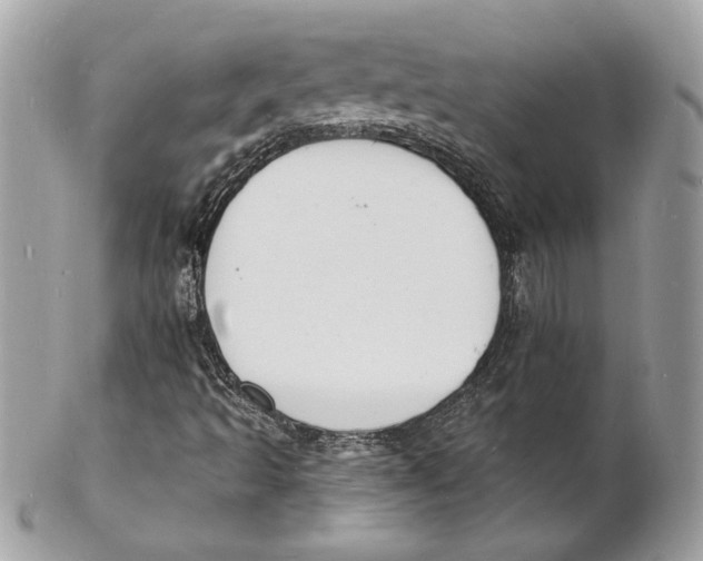 X0000102231493200808151716