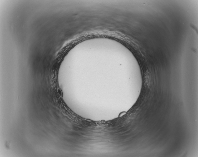 X0000102231494200808151716