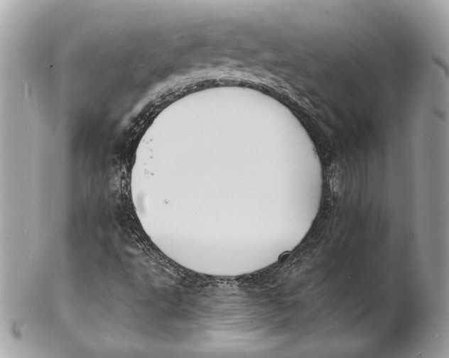 X0000102231495200808151716