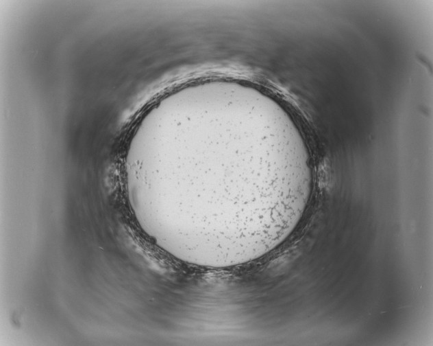 X0000102231496200808151717