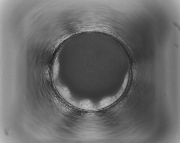 X0000102231497200808151717