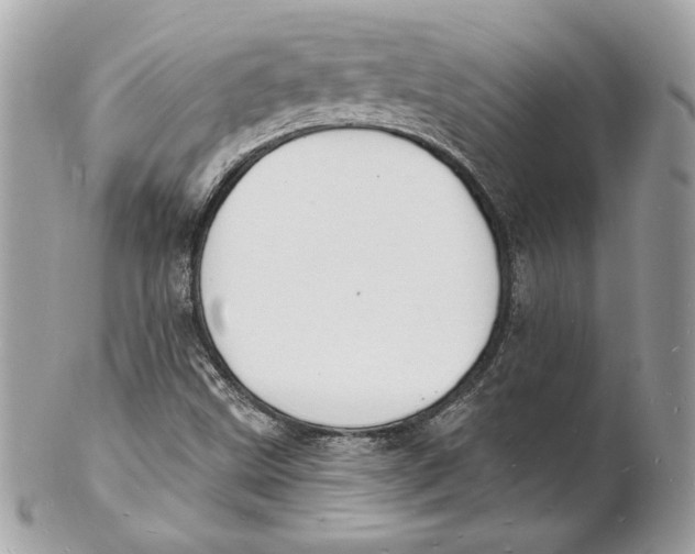 X0000102231499200808151717