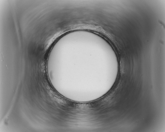 X0000102231501200808151717
