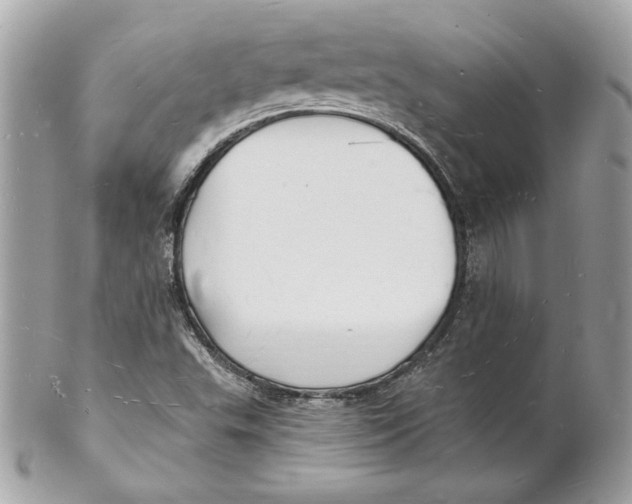 X0000102231503200808151717