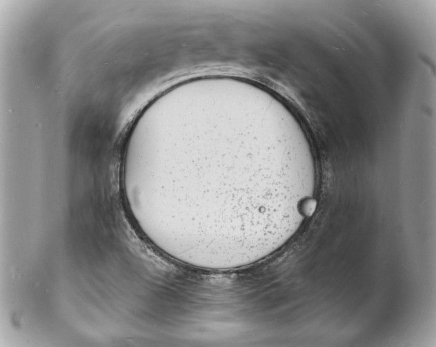 X0000102231504200808151717