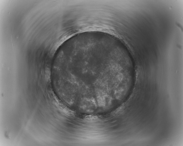 X0000102231505200808151717