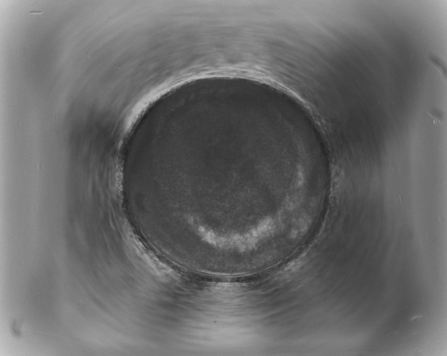 X0000102231506200808151717