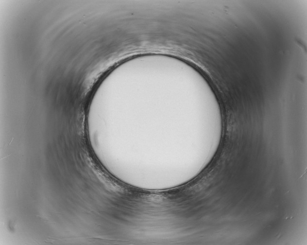 X0000102231507200808151717