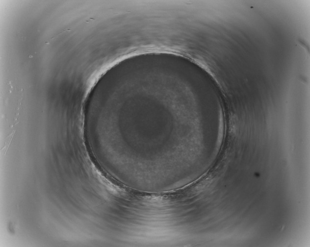 X0000102231508200808151717