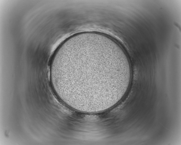 X0000102231509200808151717