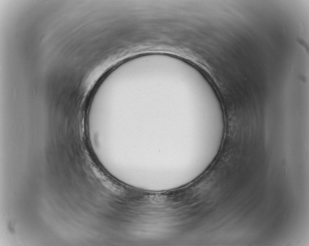 X0000102231511200808151717