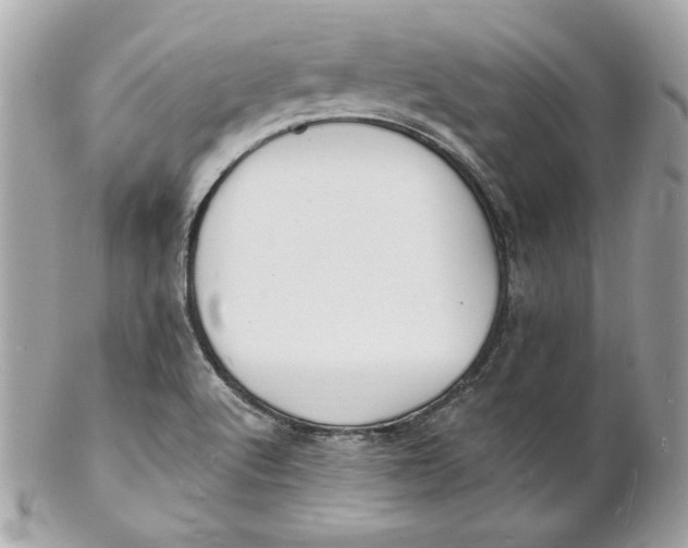 X0000102231512200808151717