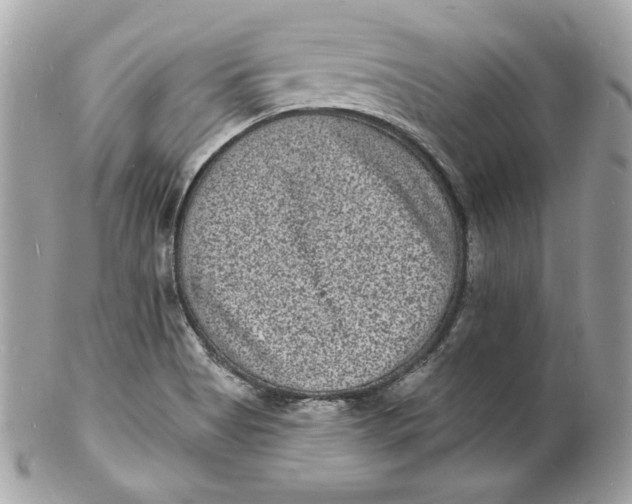 X0000102231513200808151717