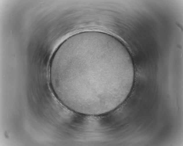 X0000102231514200808151717