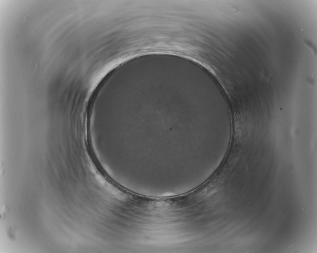 X0000102231515200808151717