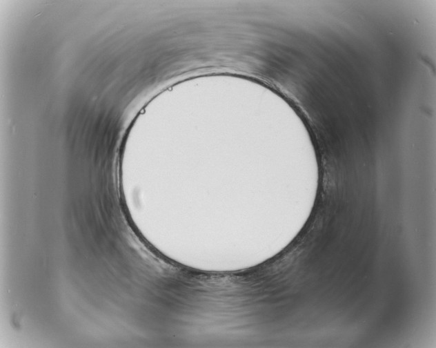 X0000102231516200808151717